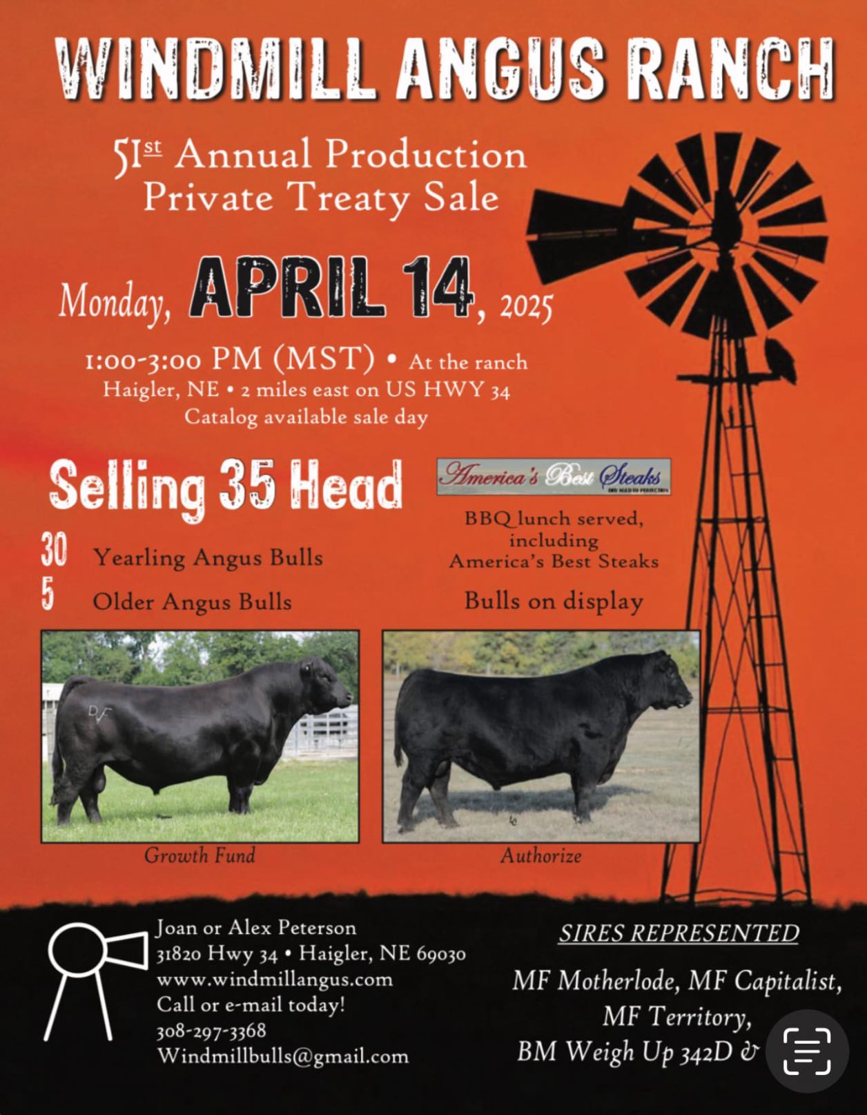 Bull Sale Flyer