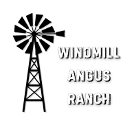 Windmill Angus Ranch