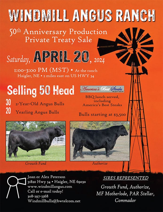 Bull Sale Flyer