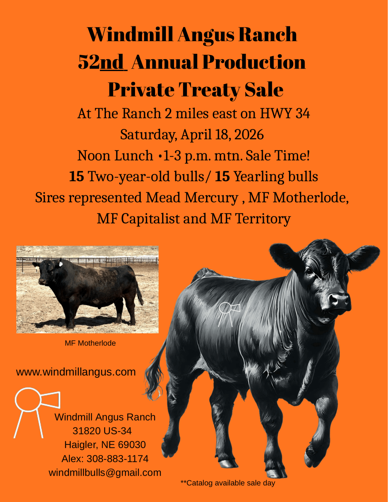 Bull Sale Flyer